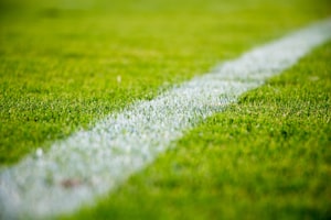上海海港2-0北京国安 中超